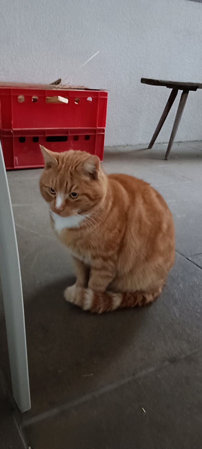 Unbekannt 260109-122251