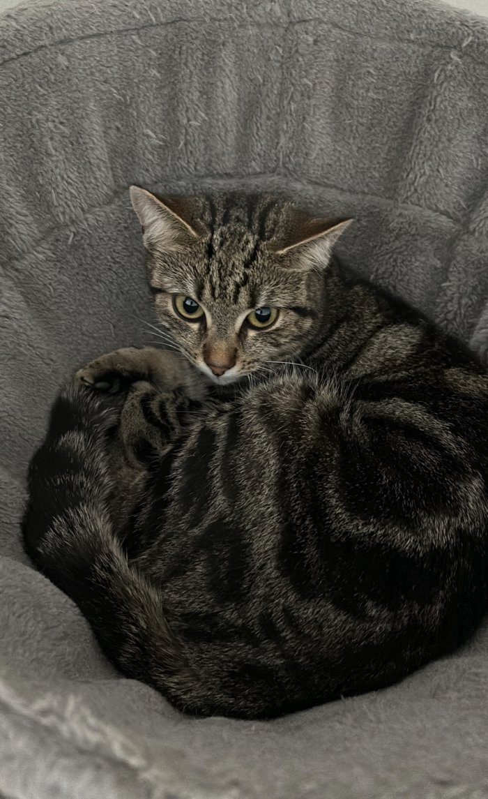 Sarabi  250903-095053