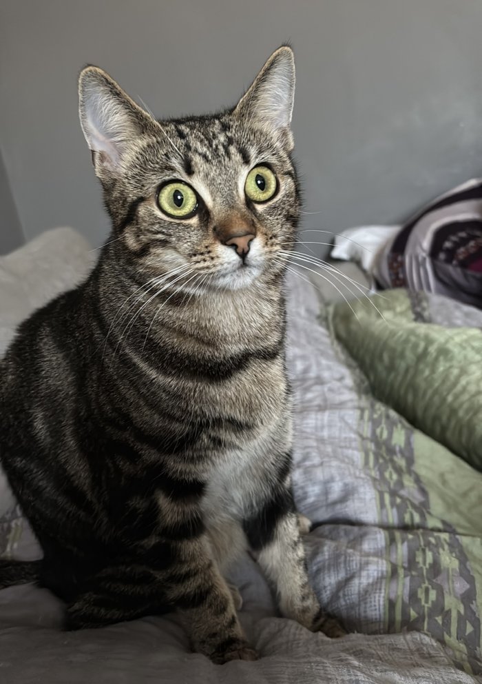 Sarabi  250903-095053