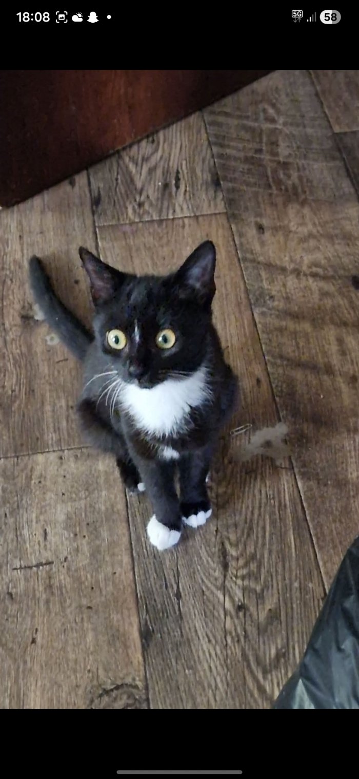 Saskia 260310-205321