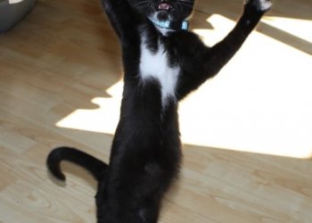 Saskia 260310-205321