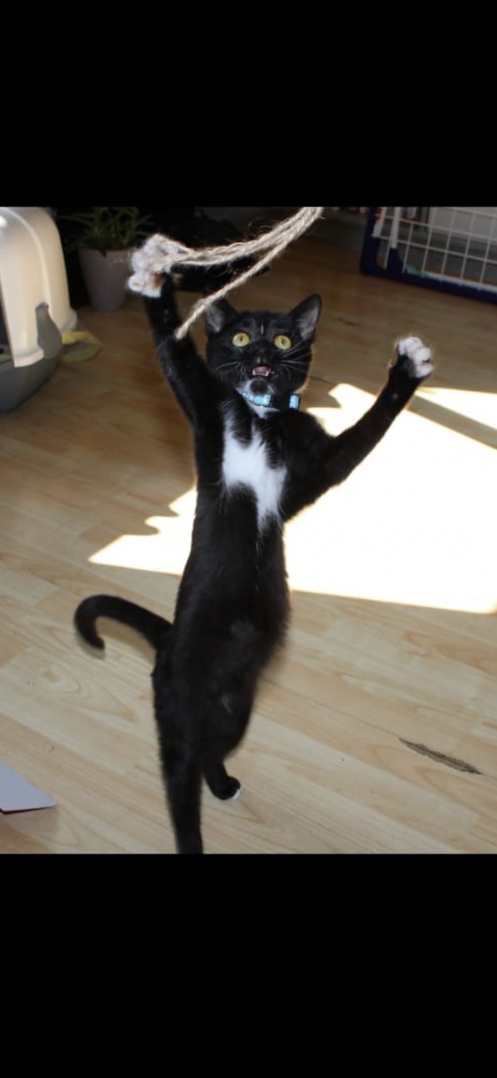 Saskia 260310-205321