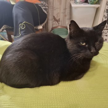 Sasuke 251210-154424