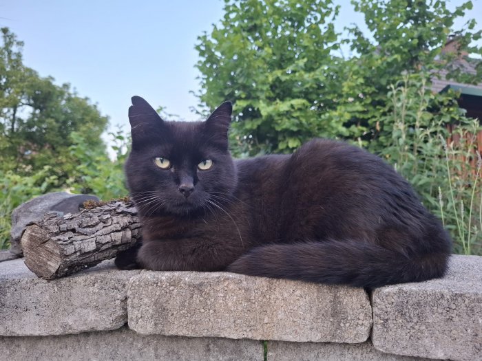 Sasuke 251210-154424