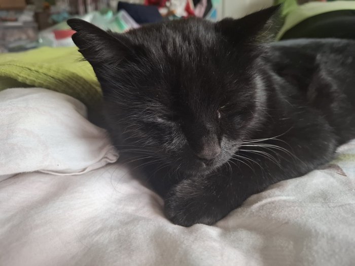 Sasuke 251210-154424