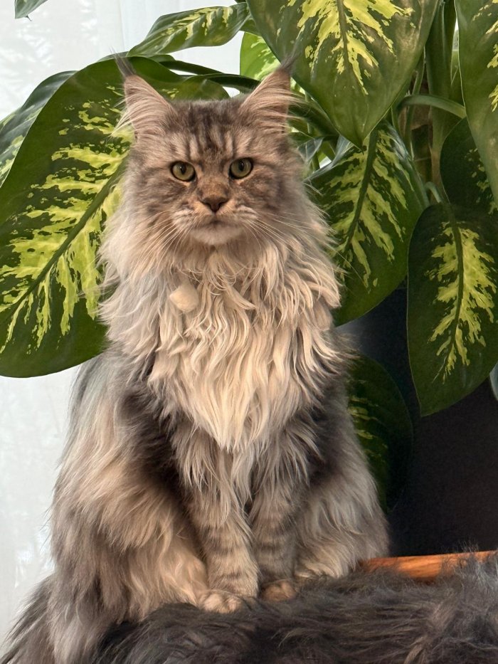 Savannah 260426-223926