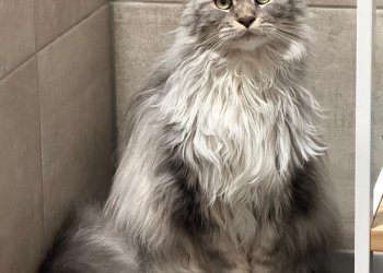 Savannah 260426-223926