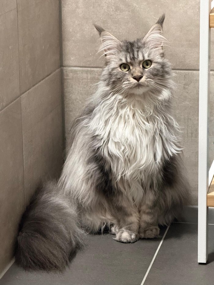 Savannah 260426-223926