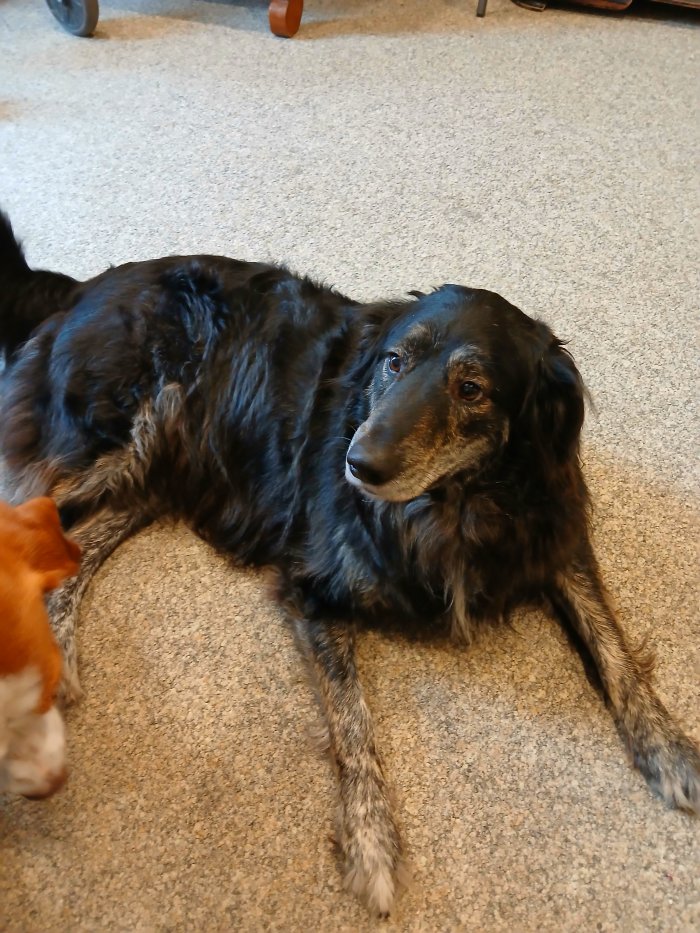 Scandy 260131-142214