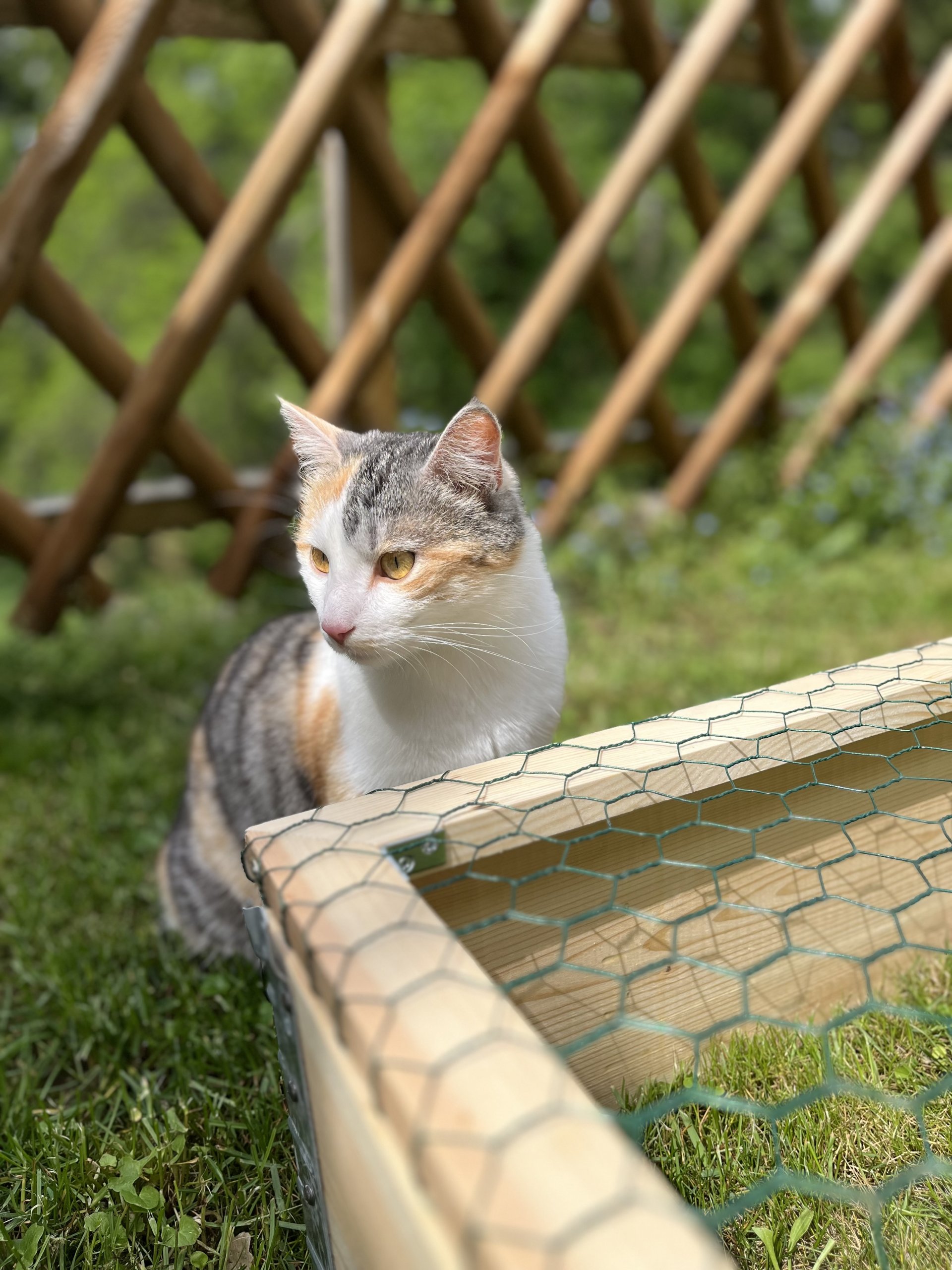 Schecki 250922-123009