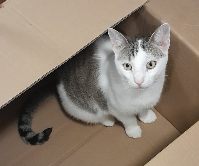 Schnurli 250719-185738