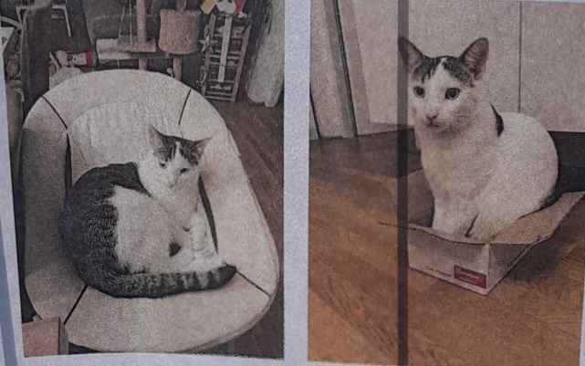 Schnurli 250719-185738