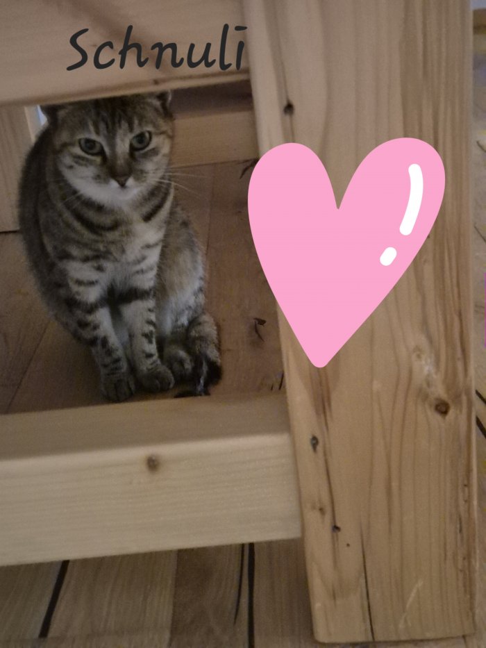 Schnurli 251124-105456