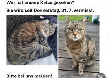 Schnurlie 250806-095147