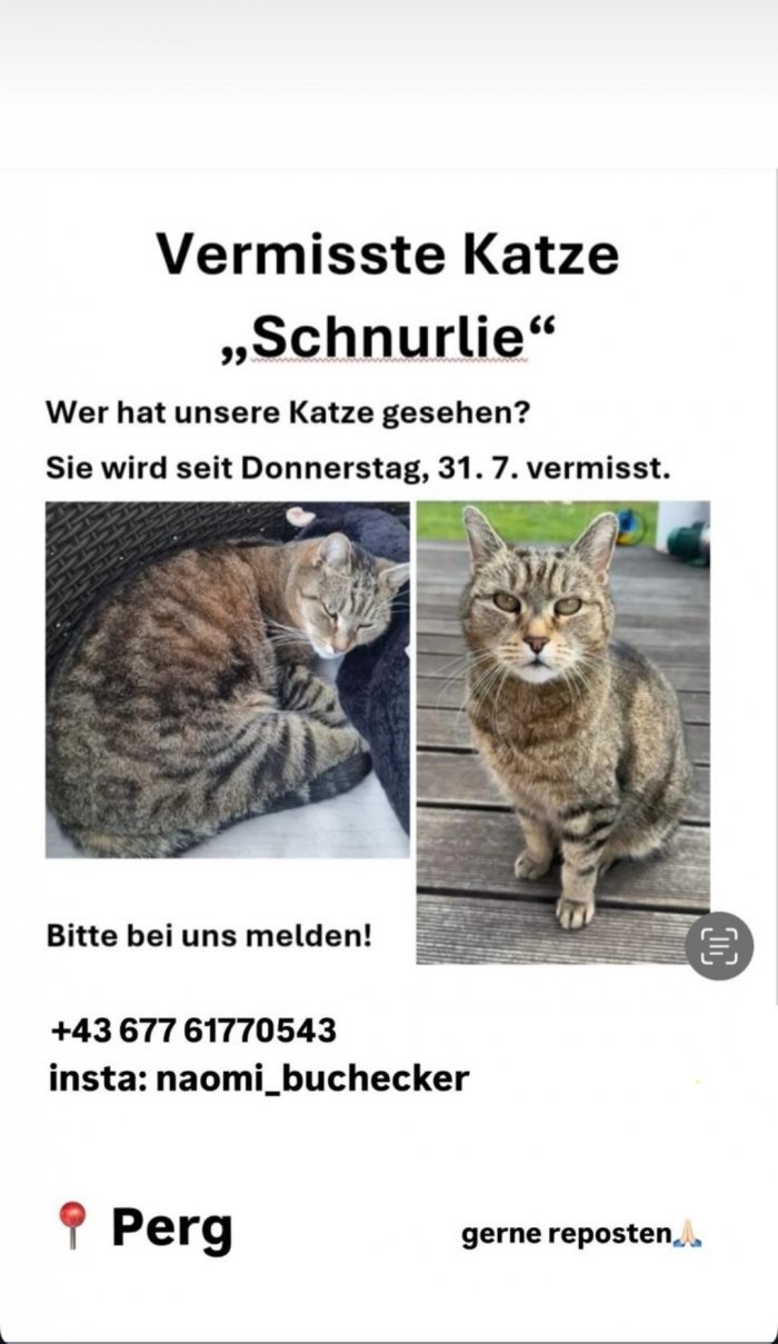 Schnurlie 250806-095147