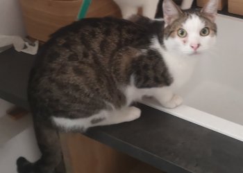 Schnurrli 251102-120428