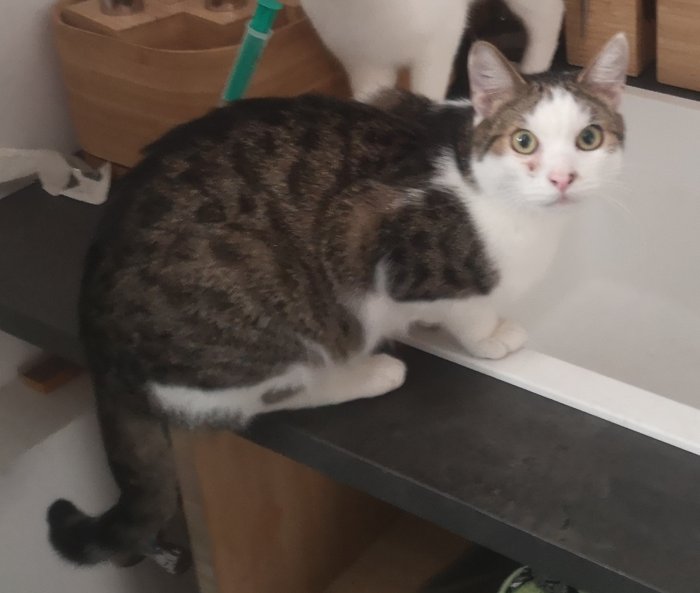 Schnurrli 251102-120428