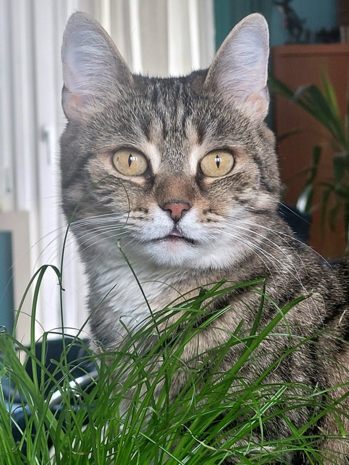 Shakti 251116-220717