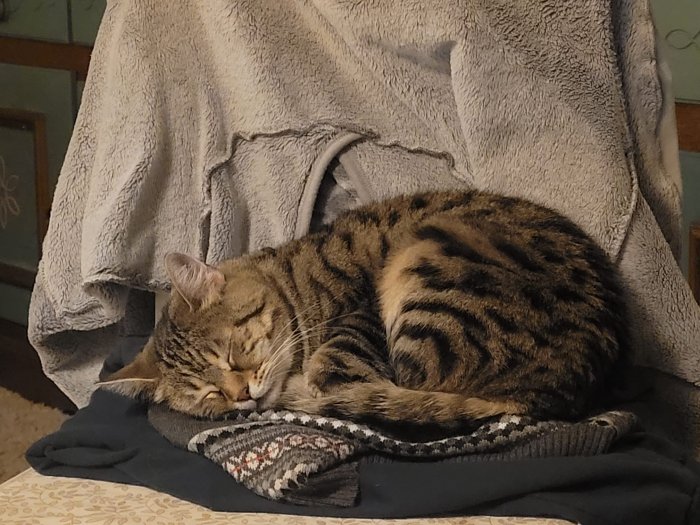 Shakti 251116-220717