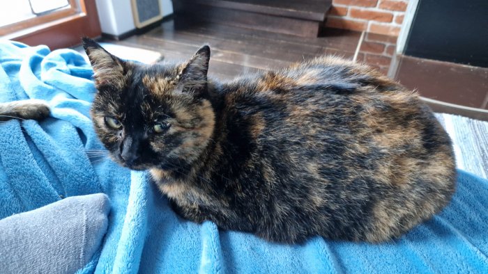 Shirin 251114-103808