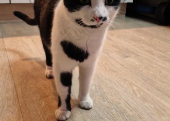 Silento 260418-165040