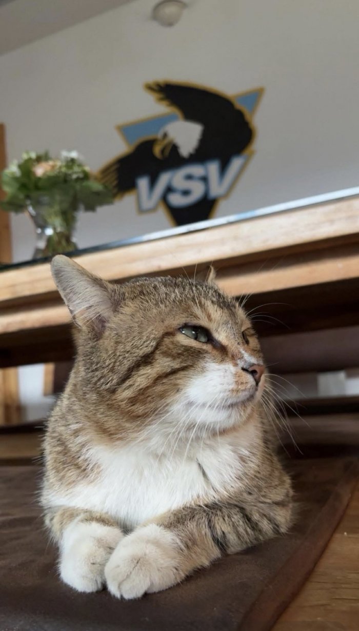 Simba  260416-162455