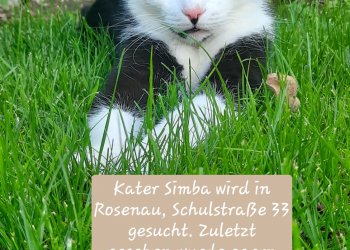 Simba 260430-201457