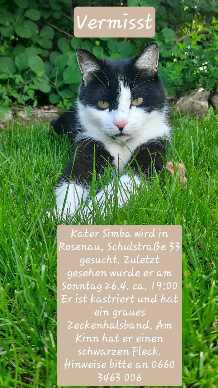 Simba 260430-201457