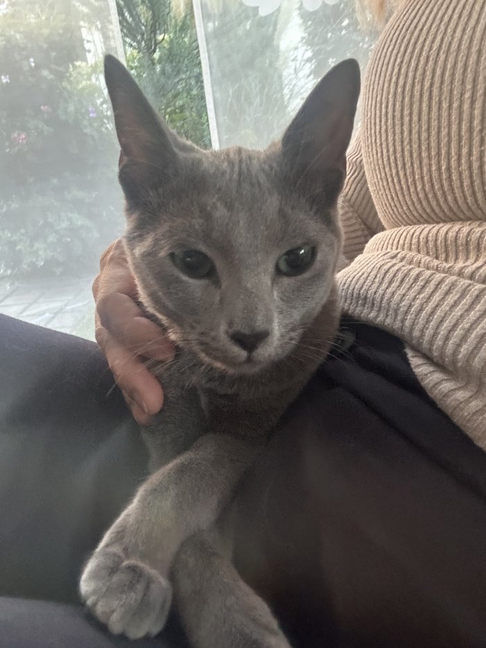 Smilla 251006-134602