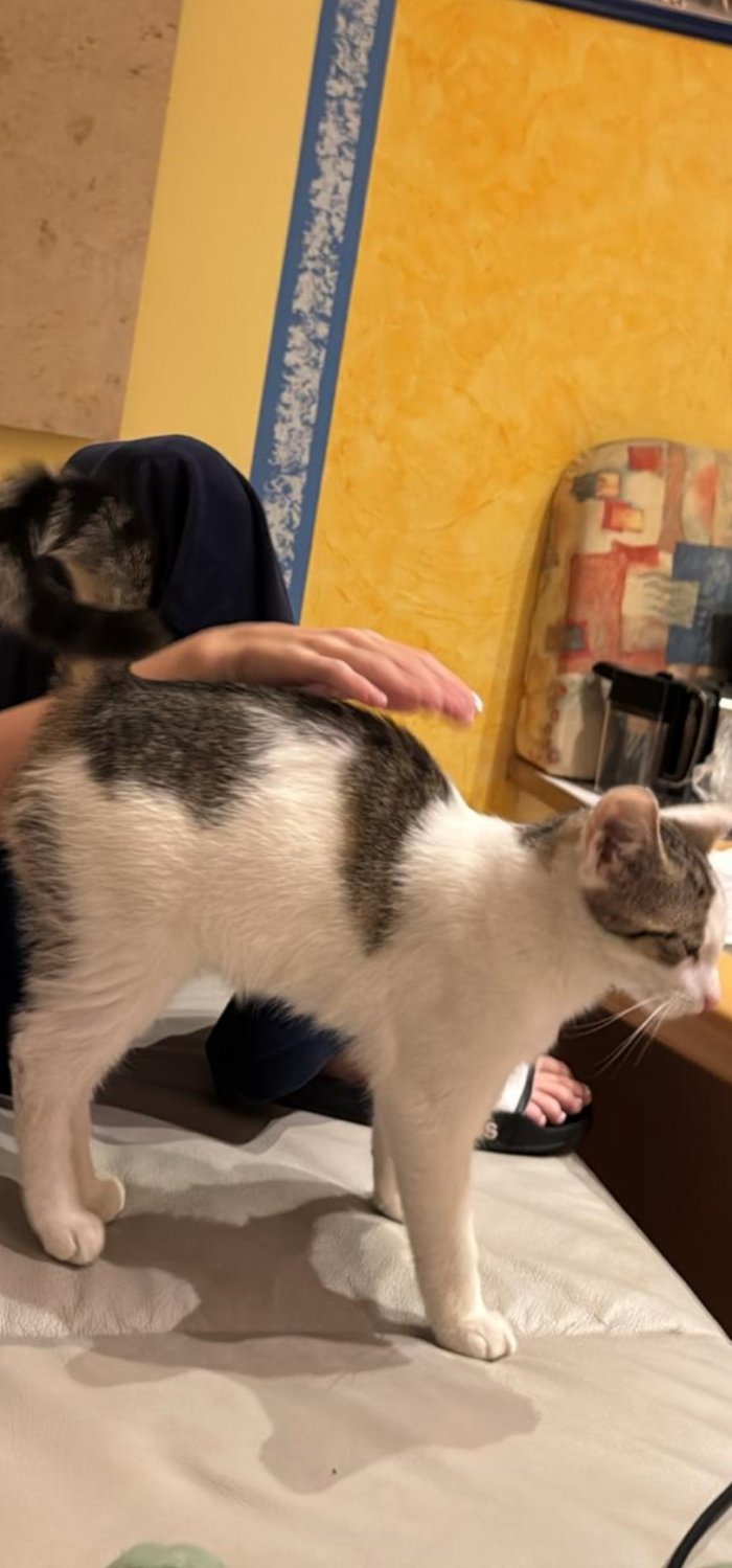 Snake/ Snoopy 260428-091522