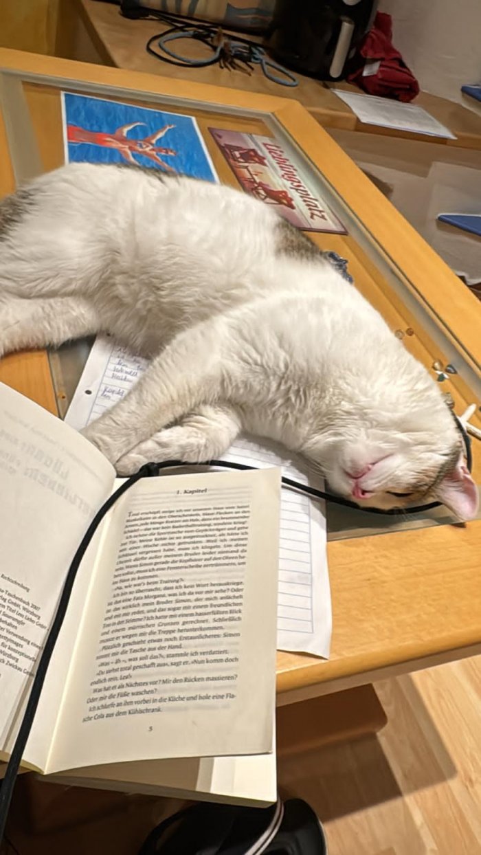 Snake/ Snoopy 260428-091522