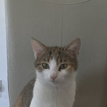 Stella 250620-143054