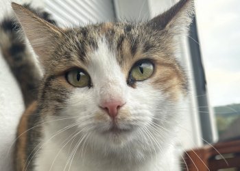 Stella 250620-143054