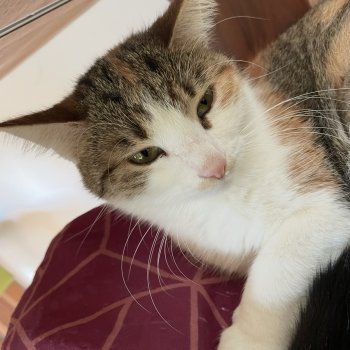 Stella 250620-143054