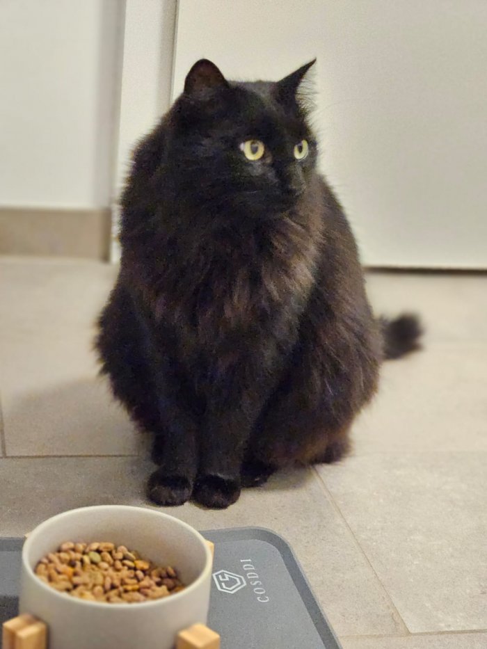 Stritzi  260108-110613