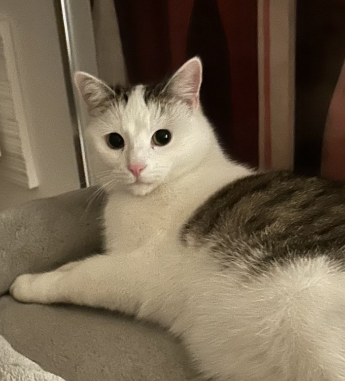 Strizzi 260309-152306