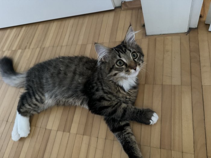 Strubby 251124-215749