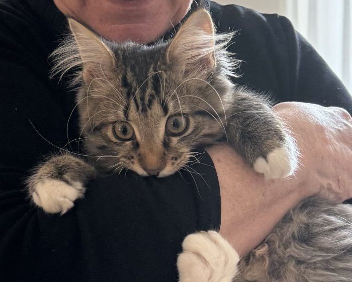 Strubby 251124-215749