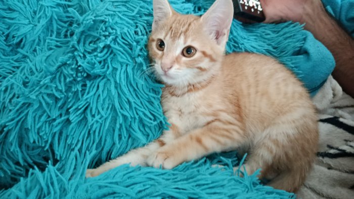 Sunny  250903-133738