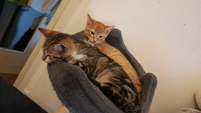 Sunny  250903-133738