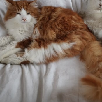 Tabasco 250828-121708