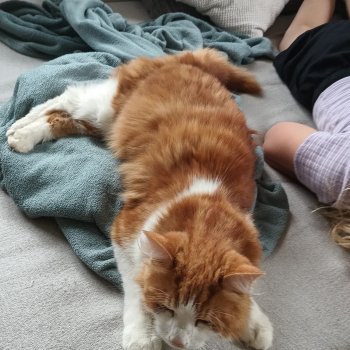 Tabasco 250828-121708