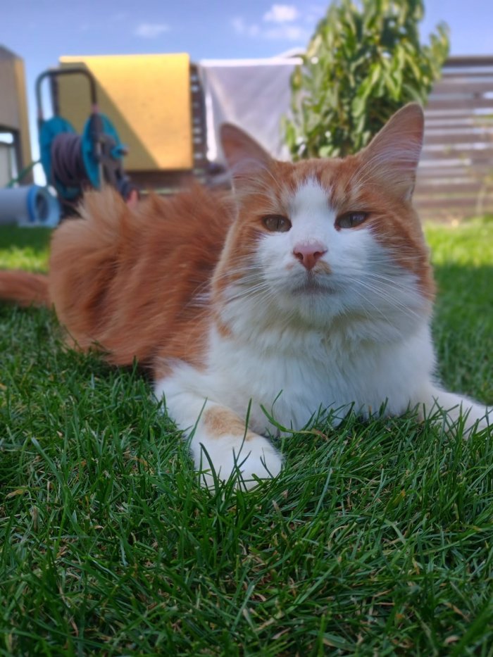 Tabasco 250828-121708