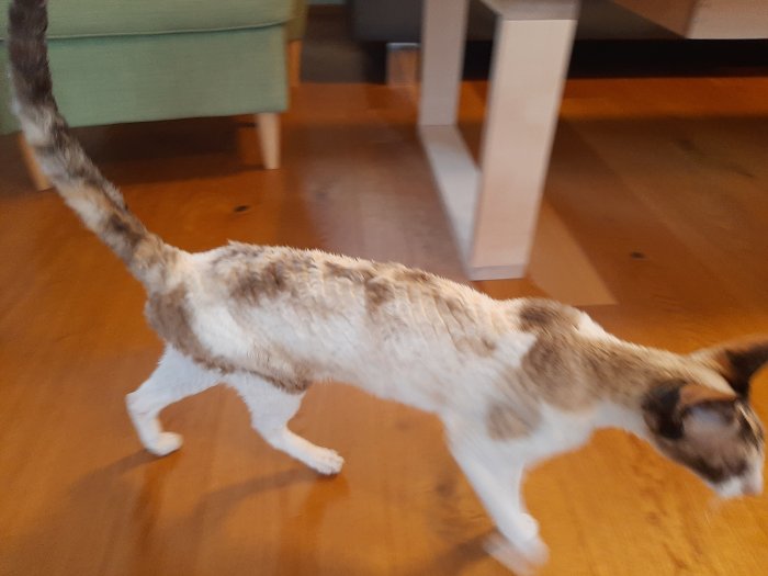 Unbekannt 251121-152851