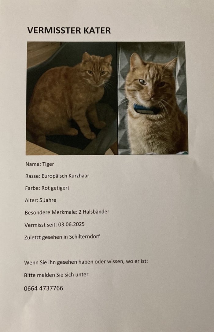 Tiger 250604-124343