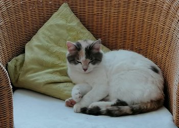 Tilly 250414-145641