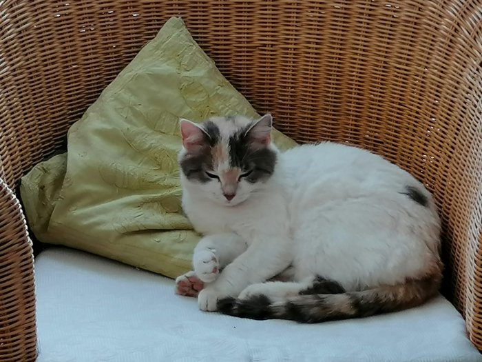Tilly 250414-145641