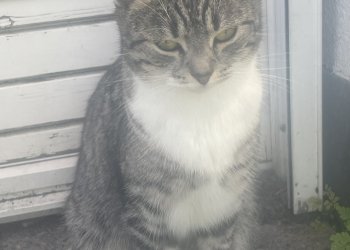Tsuki aka Mausi 250703-201718