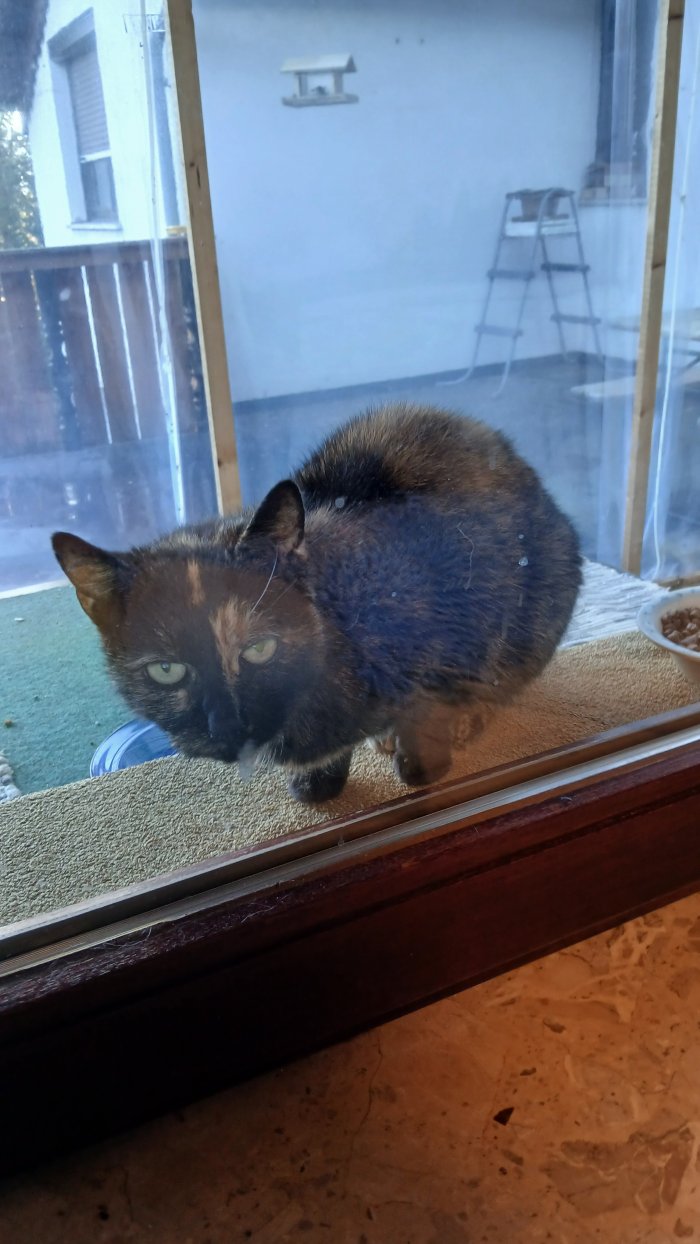 Unbekannt 251025-075844