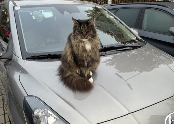 Unbekannt  251103-033319